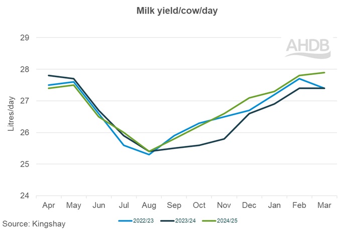 3_3_Kingshay milk yield per cow graph.
